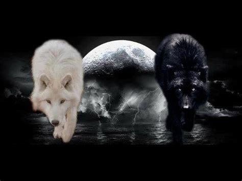 Black Wolf White Wolf Full Moon By Xxnerdwolfxx On Deviantart