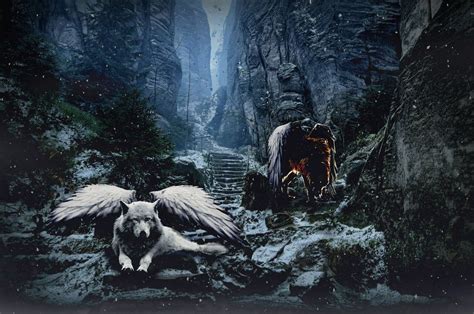 Devil Wolf And Angel Wolf Wallpapers Wallpaper Cave