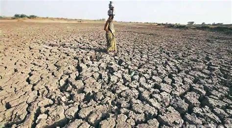 Govt Report On Rabi Kharif Crops As Maharashtra Reels Under Drought Sugarcane Production
