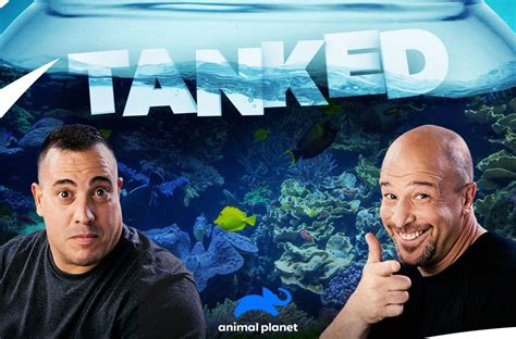 Tanked Season 16 On Animal Planet Release Date And Updates Nextseasontv