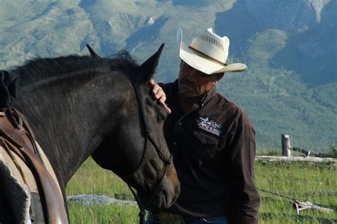 British Columbia Horses 2014 Glen Big Nine Outfitters