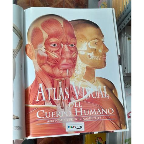 Atlas Visual Del Cuerpo Humano Calle De Libros