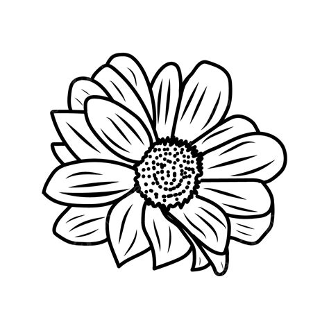 Gambar Hitam Amp Garis Seni Garis Putih Bunga Seni Garis Bunga Png