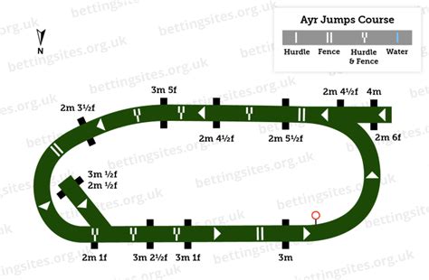 Ayr Racecourse Guide Visitor Info Races And History Uk