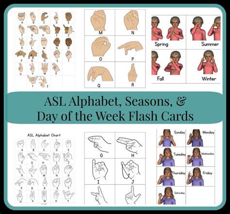 Asl Flash Cards As They Grow Up