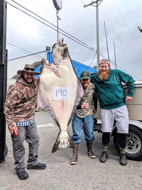 Outdoors Halibut Opens In Strait Puget Sound Peninsula Daily News