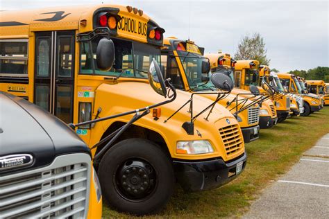 Yellow School Buses Free Stock Photo Public Domain Pictures