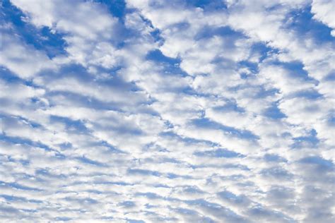 Stratus Clouds What Are They And How Do We Define Them Monsoon Safety