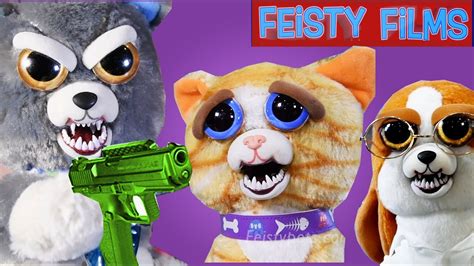 Feisty Cats Vs Dogs Compilation Who Is Feistier Youtube