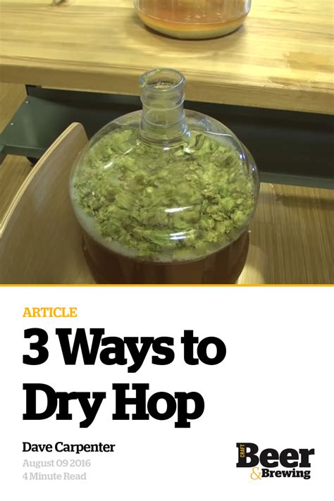 3 Ways To Dry Hop Craft Beer And Brewing