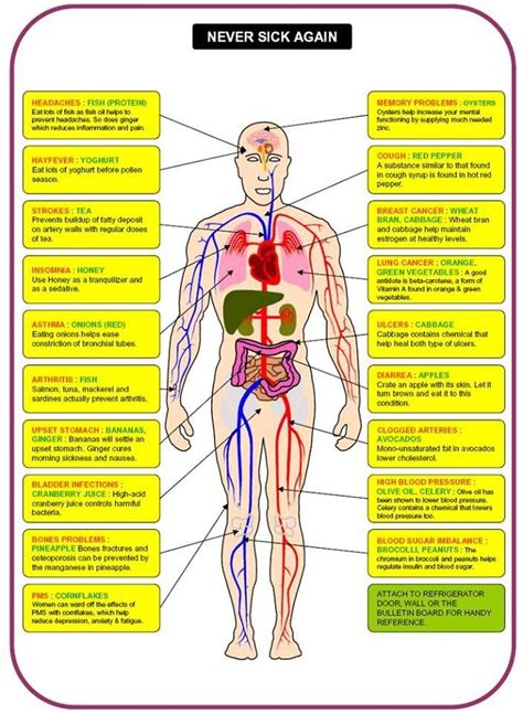 Learn about abdominal pain, types of quadrants of abdominal pain that need serious medical attention. 1000+ images about Referred Pain/Abdominal Quadrants on Pinterest | Medical, Clip art and Show me