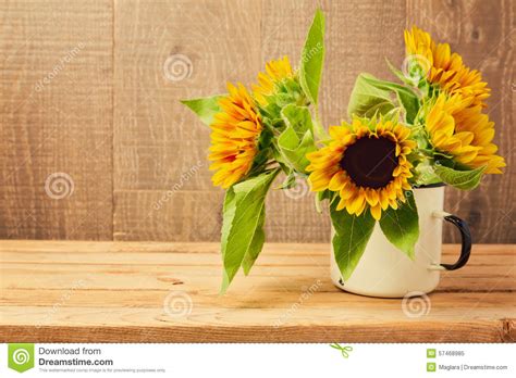 Fall seasonal walk concept, flat lay with empty space. Sunflowers In Vintage Cup On Wooden Table. Stock Photo ...