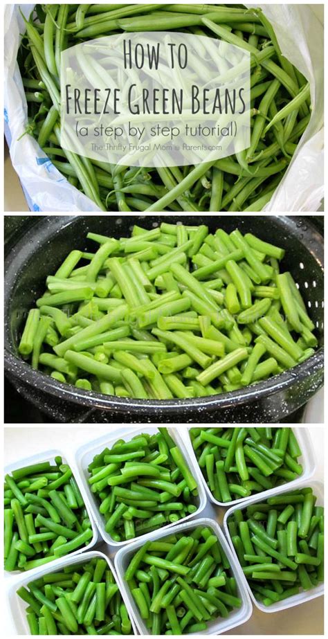The great debate, to blanch or not to blanch prior to freezing. How to Freeze Green Beans (a step by step tutorial ...
