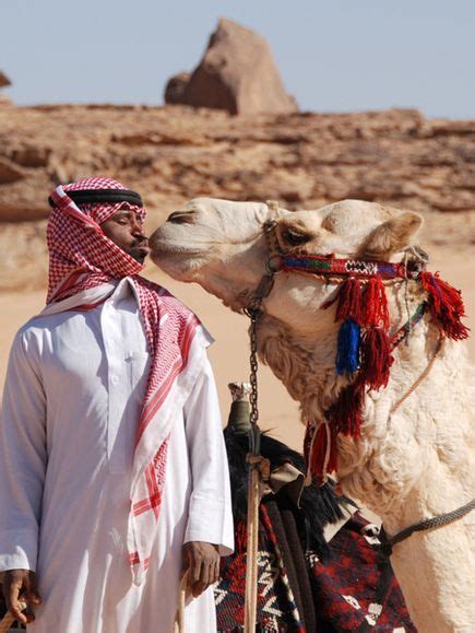 An arab had a camel. Pin on Sands of Time