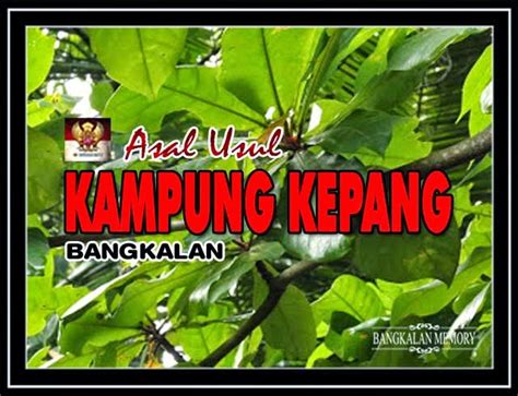 Pertunjukan rakyat, tari kuda lumping jawa tengah. Asal Usul Kampung Kepang Bangkalan ~ BANGKALAN MEMORY