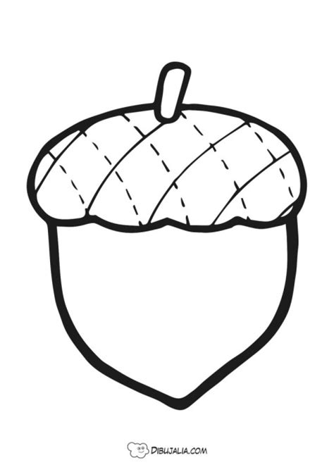 Bellota fruta del otoño Dibujo 2100 Dibujalia Los mejores