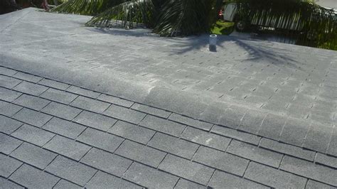 New Dimensional Shingle Roof In West Miami — Miami General Contractor