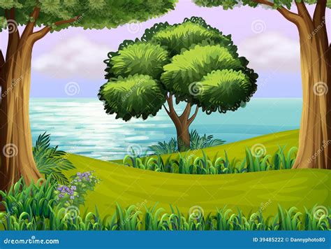 Hills With Trees Near The River Stock Vector Illustration Of Jungle