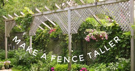 How To Make A Fence Taller For Better Privacy Empress Of Dirt