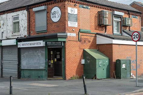 Mount Road Vets | Popular Vet Practice In Gorton Manchester