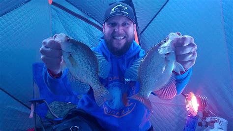 The river otter food chain includes many types of fish, mollusks, crustaceans, aquatic plants and roots, eggs, and some small mammals and birds. Crappie are some of my favorite fish to target and eat in ...