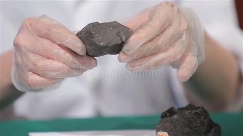 Het Mannetje Dient Handschoenen In Houdend Steenkool Wetenschapper Met