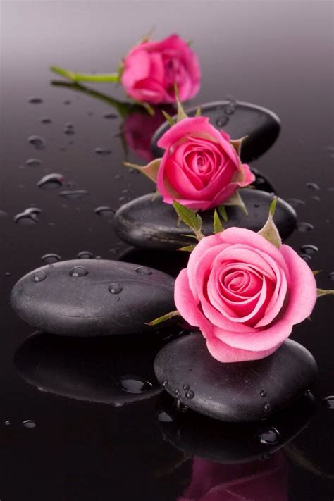 A boyfriend or girlfriend plays a huge part in our lives. +919582148141 We have beautiful flowers & Gifts which are ...