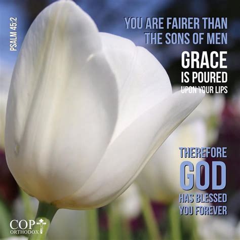 Psalm 452 You Are Fairer Than The Sons Of Men Grace Is Poured Upon
