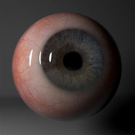 Realistic Eye Model Christopher Hunt Eyeball Art Realistic Eye