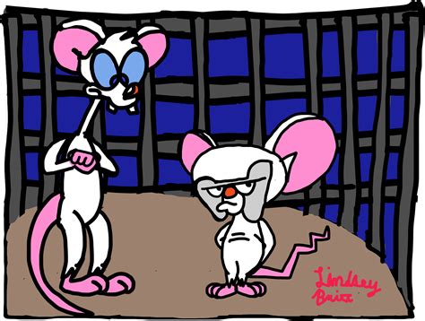 Pinky And The Brain Vector at Vectorified.com | Collection of Pinky And png image