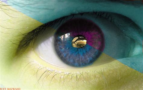 Eye With Dolphin Pupil By Jeffmizrahi On Deviantart