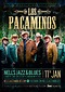 Los Pacaminos | Live - Nell’s | Tour Dates London