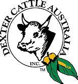 Dexter Cattle Australia Inc Home Page | Dexter cattle, Cattle, Dexter