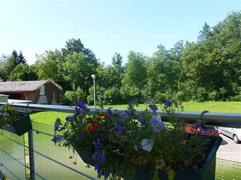 Oberried, buchenbach, kirchzarten, stegen, st. Wohnung in Kirchzarten | Immobilien Schweizer