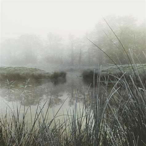 11 Tips For Shooting Magical Iphone Photos In Mist And Fog