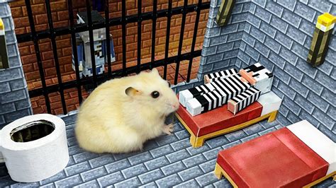 Hamster Sophie 22 🐹 Hamster Escapes From The Minecraft Prison Maze 🐹