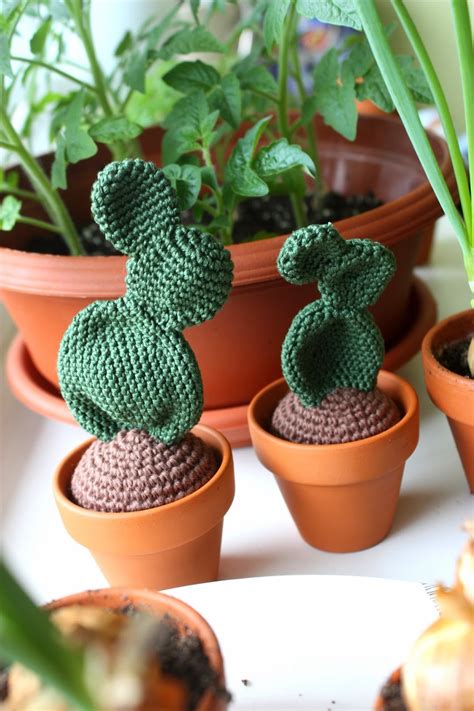 I created this platform to help passionate crocheters like me feel inspired. Happyamigurumi: Crochet Cacti - Amigurumi cacti