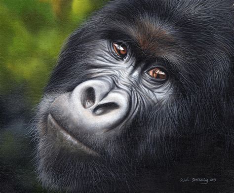 Gorilla Painting By Sarah Stribbling Fine Art America