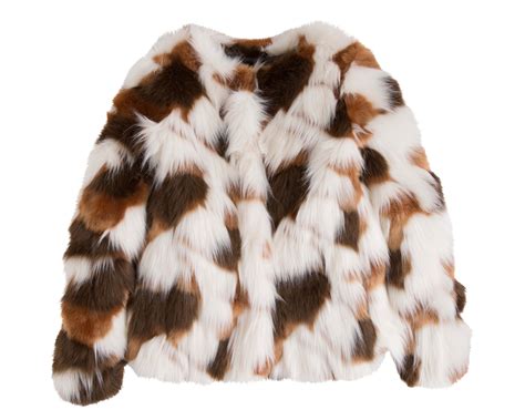 Felina Fur Coat Png Image Purepng Free Transparent Cc0 Png Image