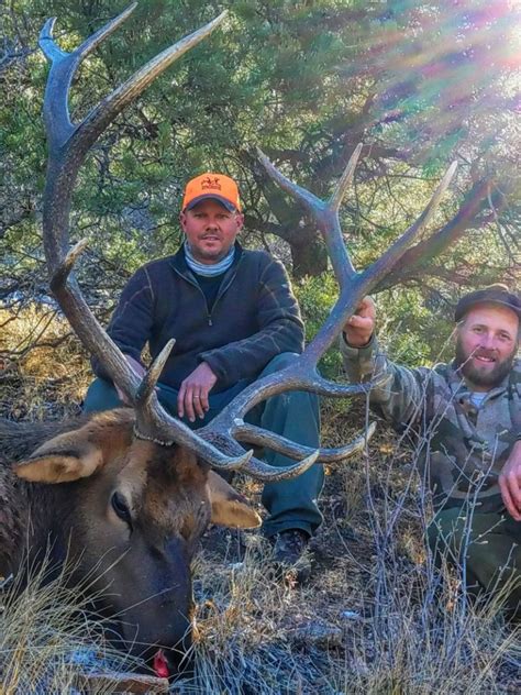 Otc Bull Elk Archery Hunt Quality Hunts