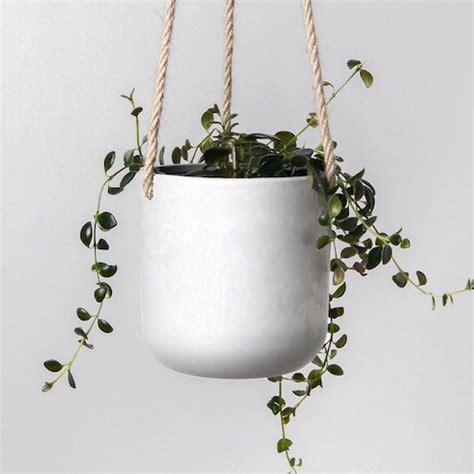 10 Hanging Planter Pot With Drainage Hole And Plug Large Etsy