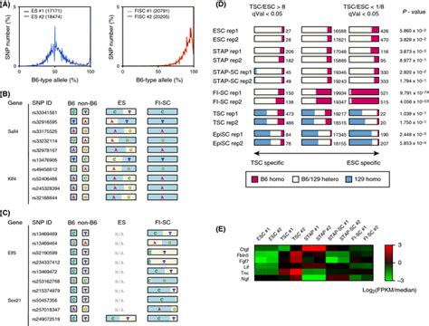 Quality Control Method For Rna Seq Using Single Nucleotide Polymorphism