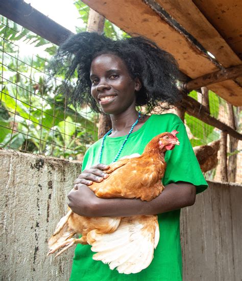 Interventions focus on people's behaviors, and how changes in the environment can support those behaviors. Reducing antimicrobial use in Uganda's poultry value chain ...