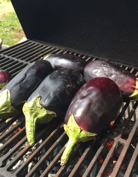 Maybe you would like to learn more about one of these? Preserving Eggplants for Winter Eating - Homestead Honey ...