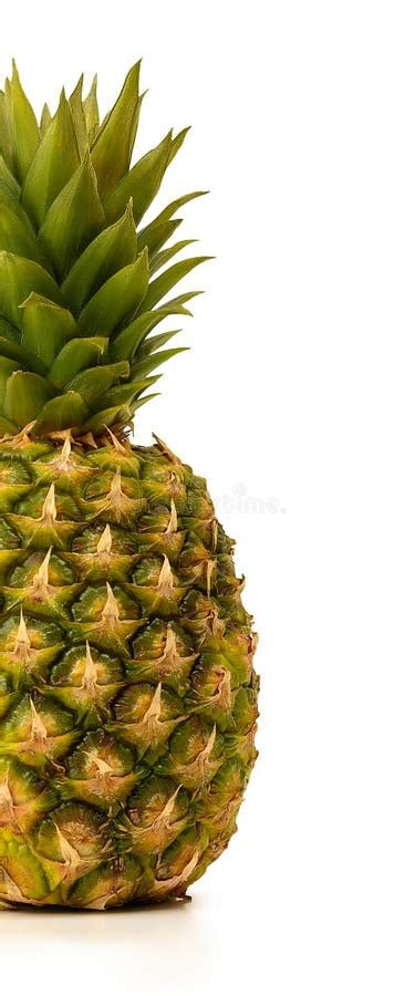 Pineapple Is Isolated Whole Fresh Juicy With Leaves On A White
