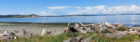 Gulf Islands Paddle Island View Beach To Darcy Island 1 Reviews Map