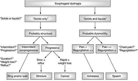 Algorithm Used By The Author To Differentiate Between Esophageal