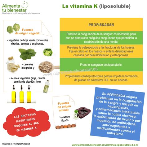 La Vitamina K Para Qué Sirve Estilo De Vida Saludable