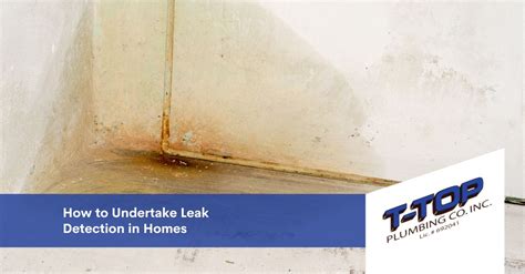 Leak Detection How To Undertake Leak Detection In Homes