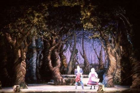 Pittsburgh Clos Community Rental Into The Woods Set Design Theatre